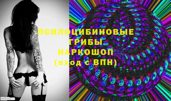 гашик Баксан