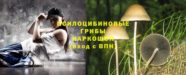 гашик Баксан