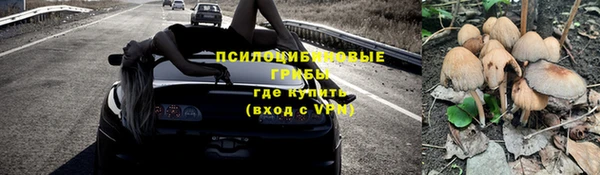 гашик Баксан