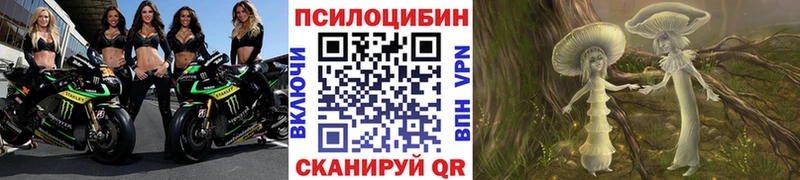 Псилоцибиновые грибы прущие грибы Нижние Серги